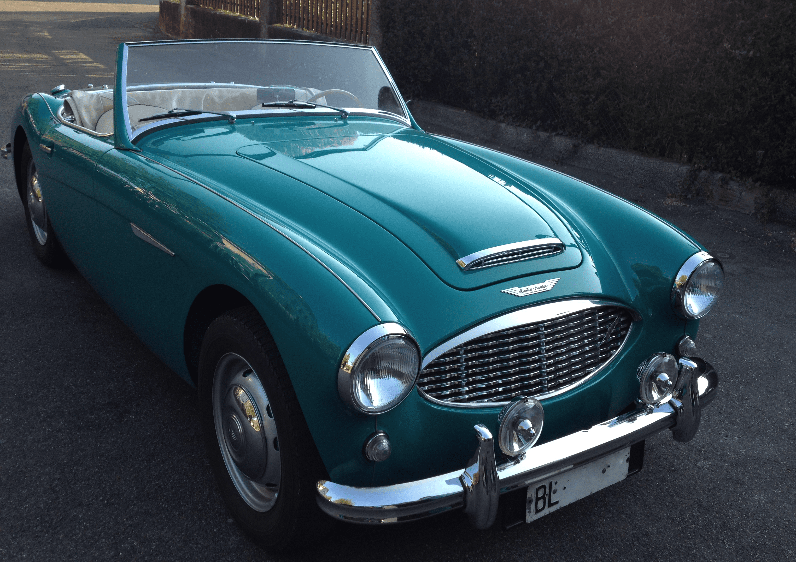 Austin Healey